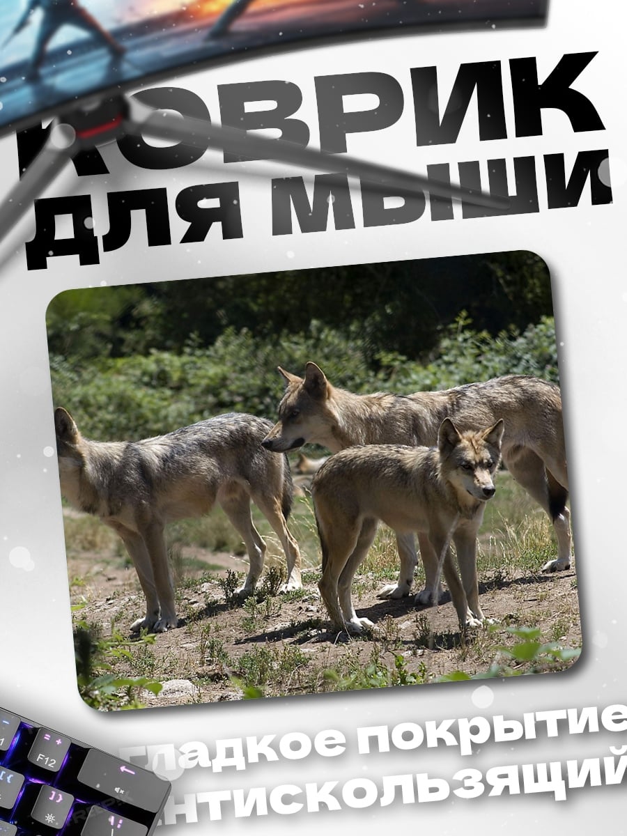 Коврик стая волков в лесу