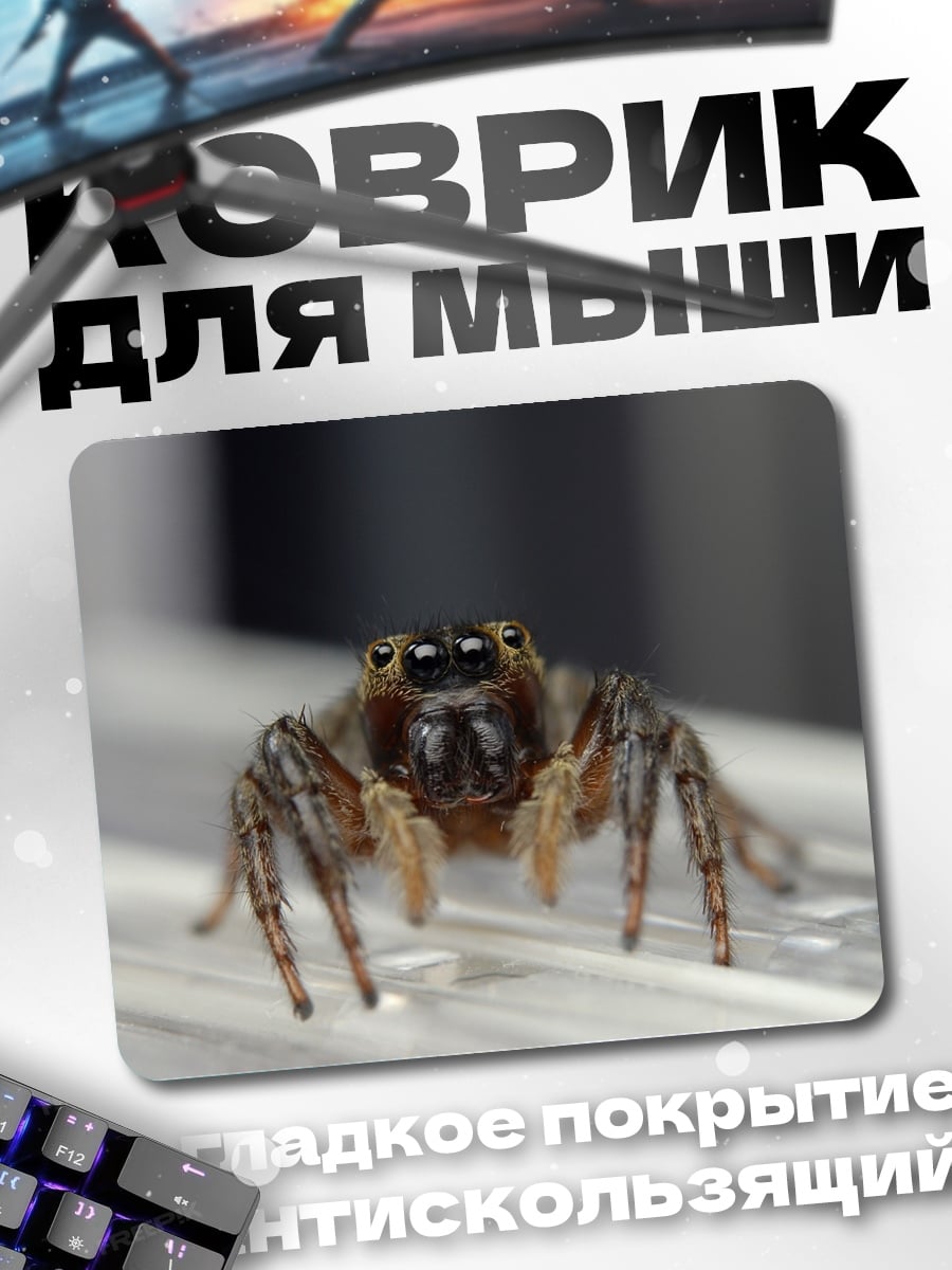 Коврик Паук-скакун