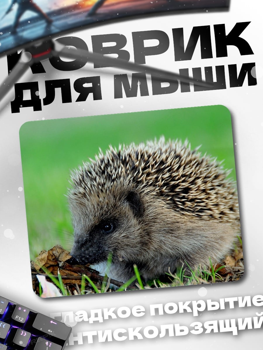 Коврик Ёжик на траве
