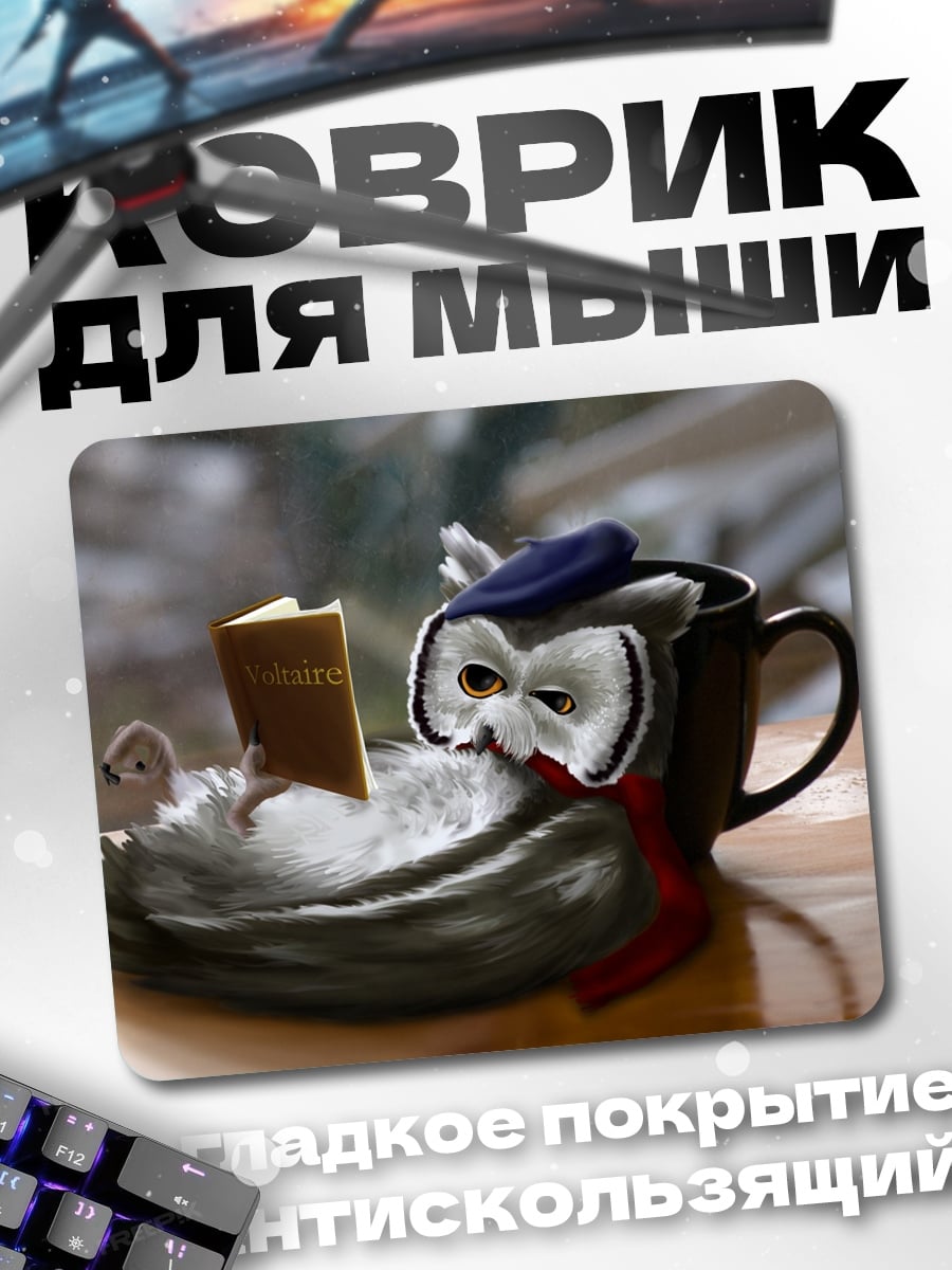 Коврик Сова читает книгу
