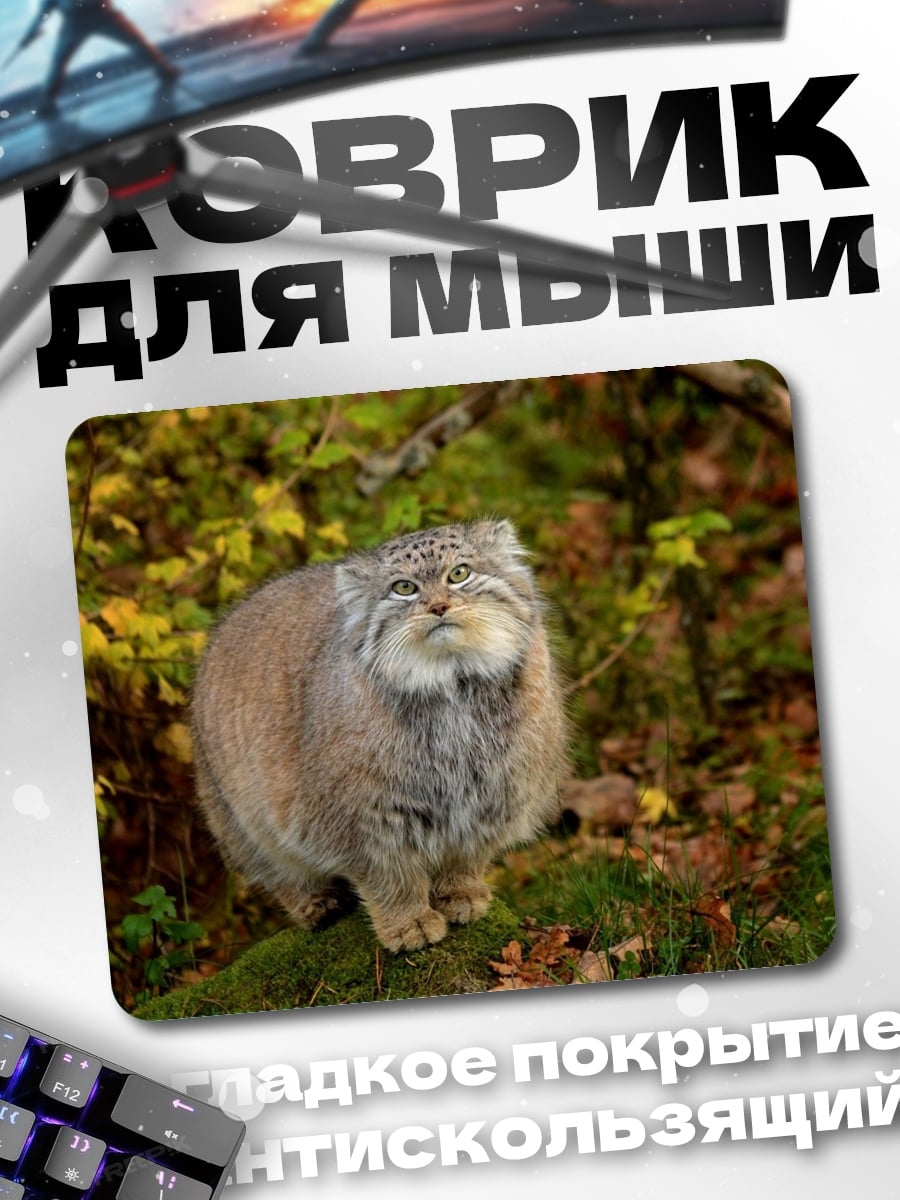 Коврик Дикий Кот Манул