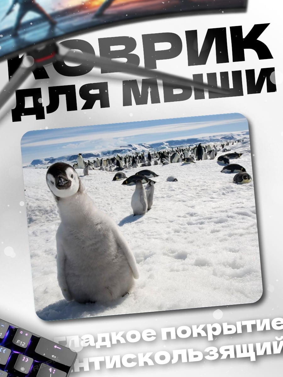 Коврик Пингвиненок на снегу