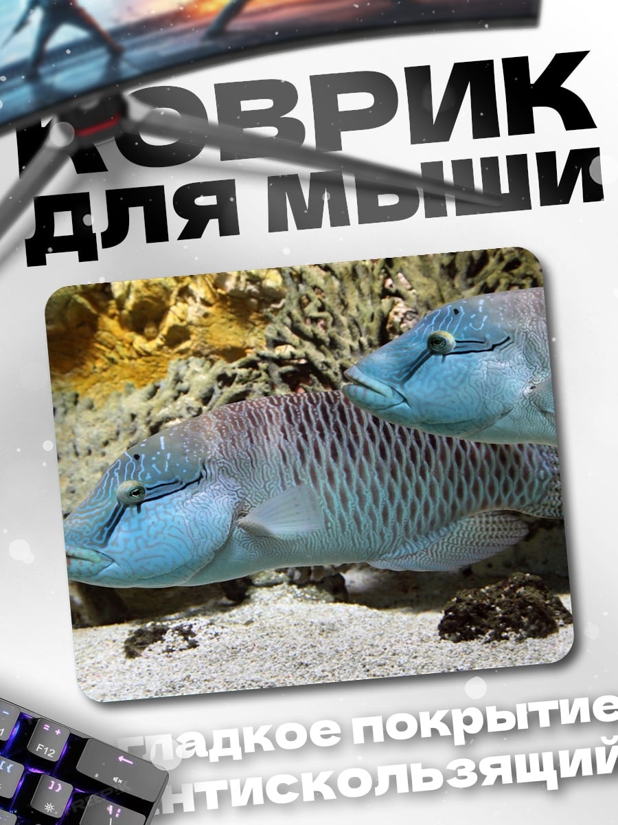 Коврик Две рыбы Наполеон