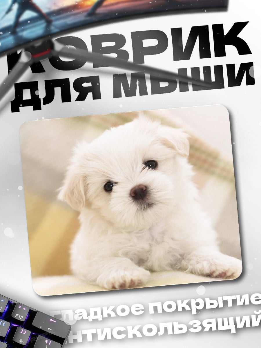 Коврик Белый щенок мальтезе