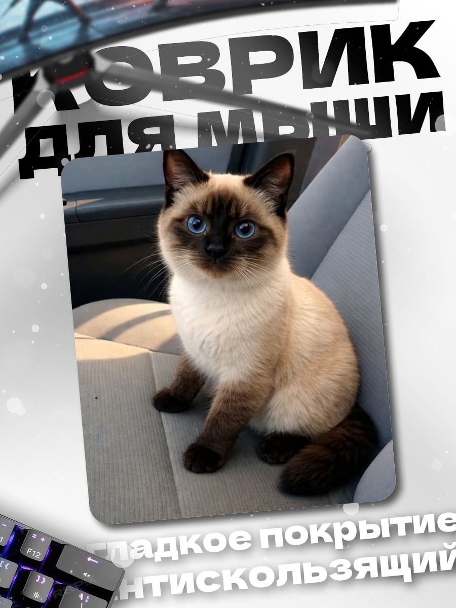 Коврик Сиамский котенок