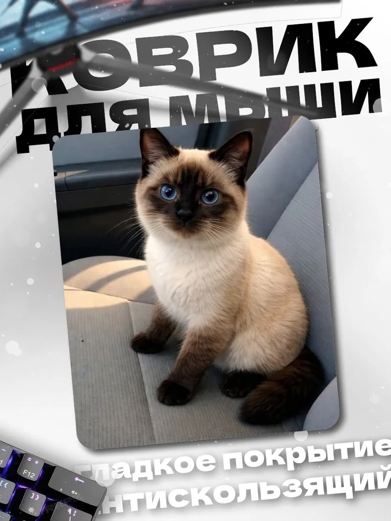 Коврик Сиамский котенок