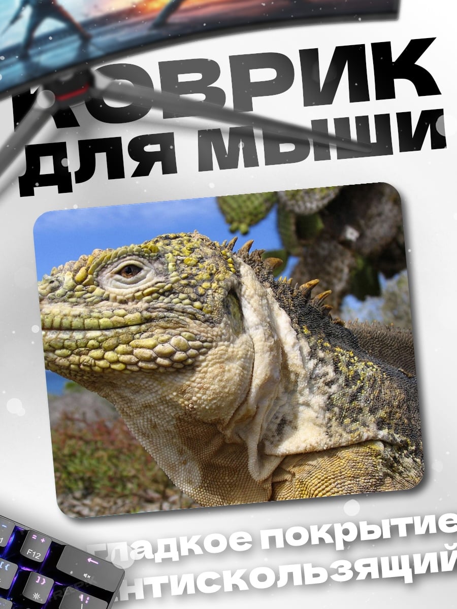 Коврик Игуана на ветке