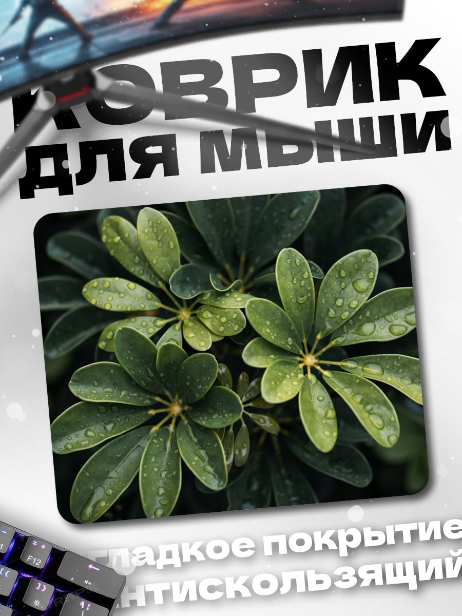 Коврик Зеленые листья с каплями