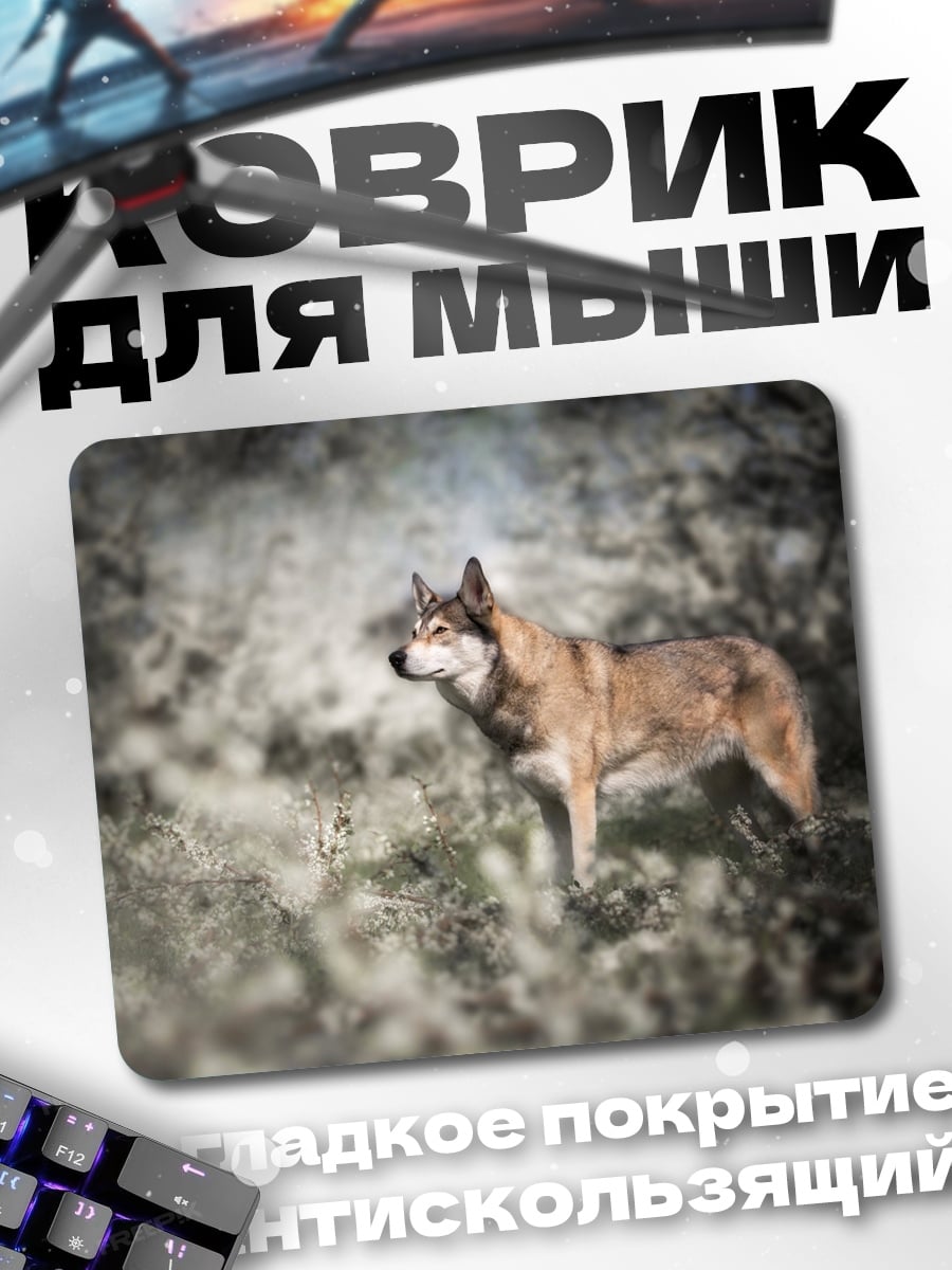 Коврик волк в лесу