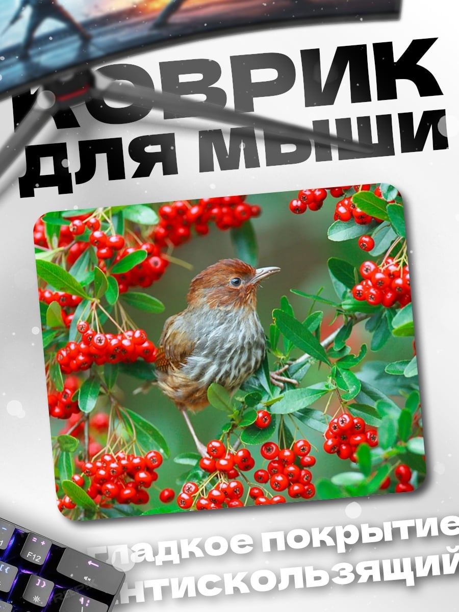 Коврик Птица на ветке