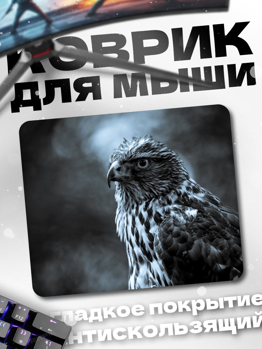 Коврик Хищная птица