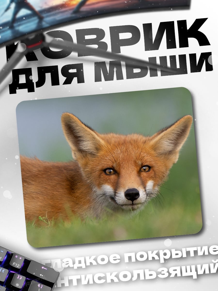 Коврик Рыжая лиса