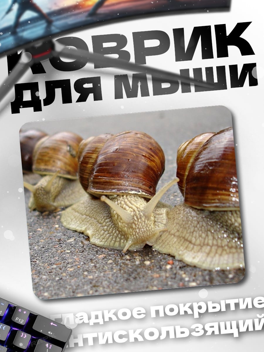 Коврик Улитки на асфальте