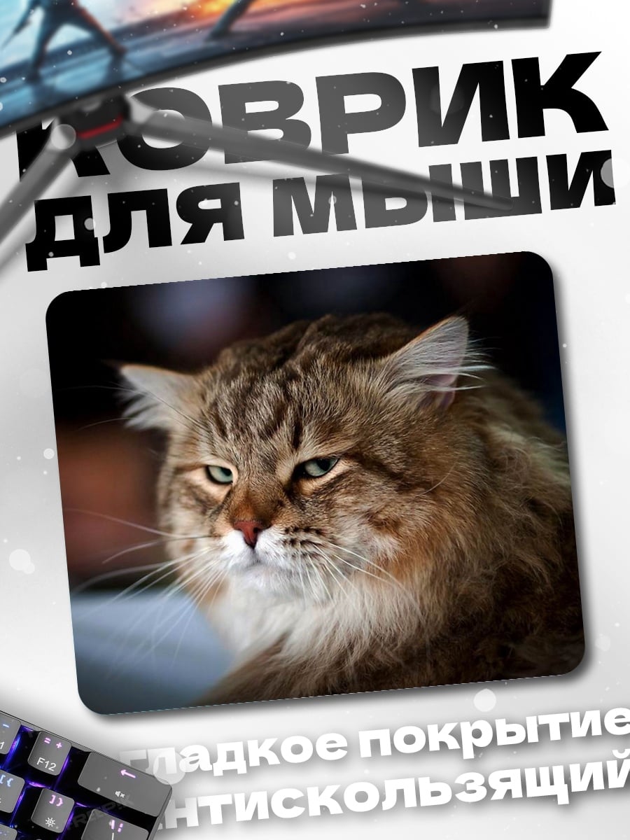 Коврик сердитый кот