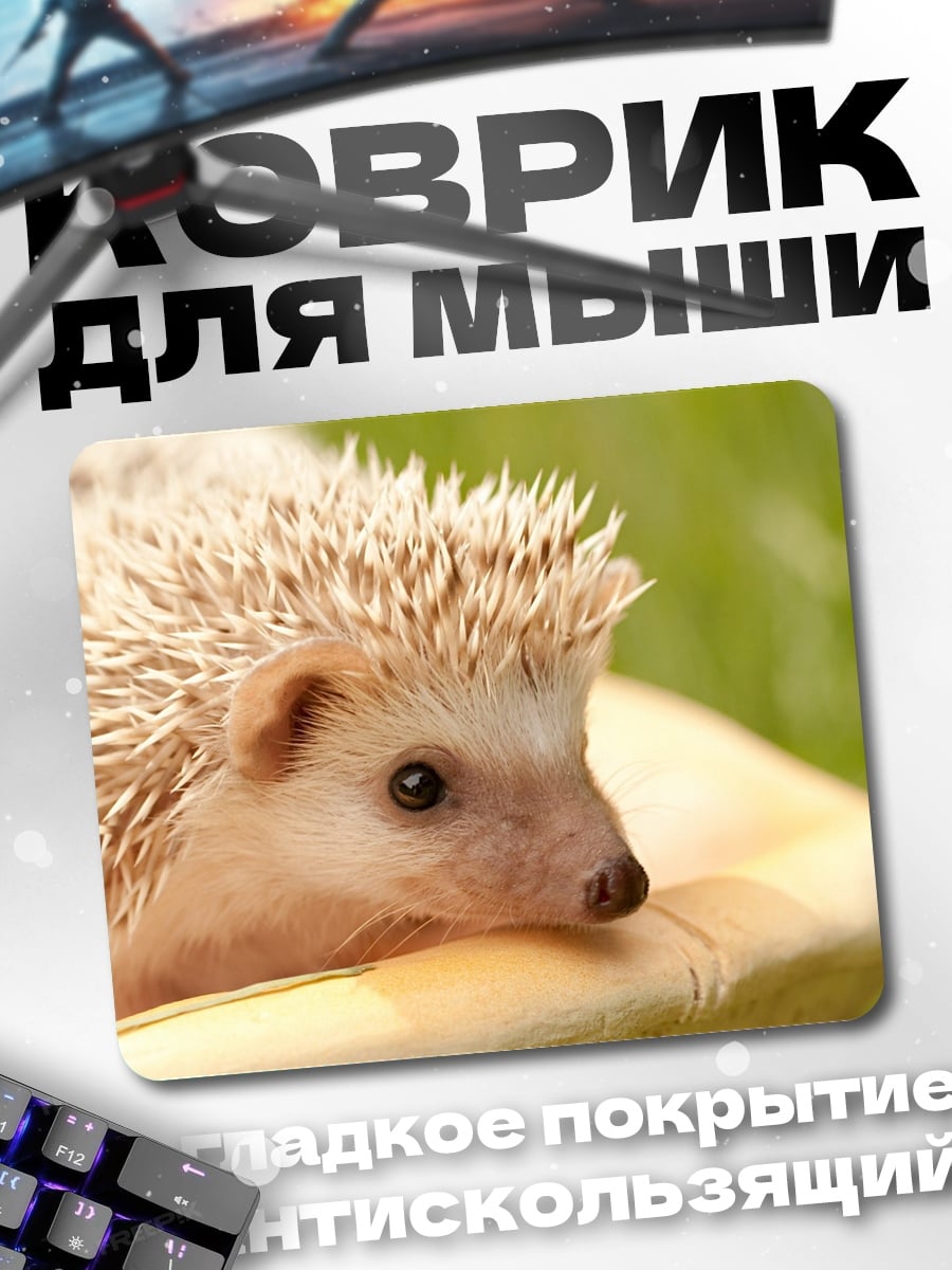 Коврик Ёжик на грибе