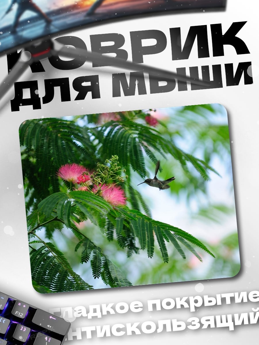 Коврик Колибри у цветка