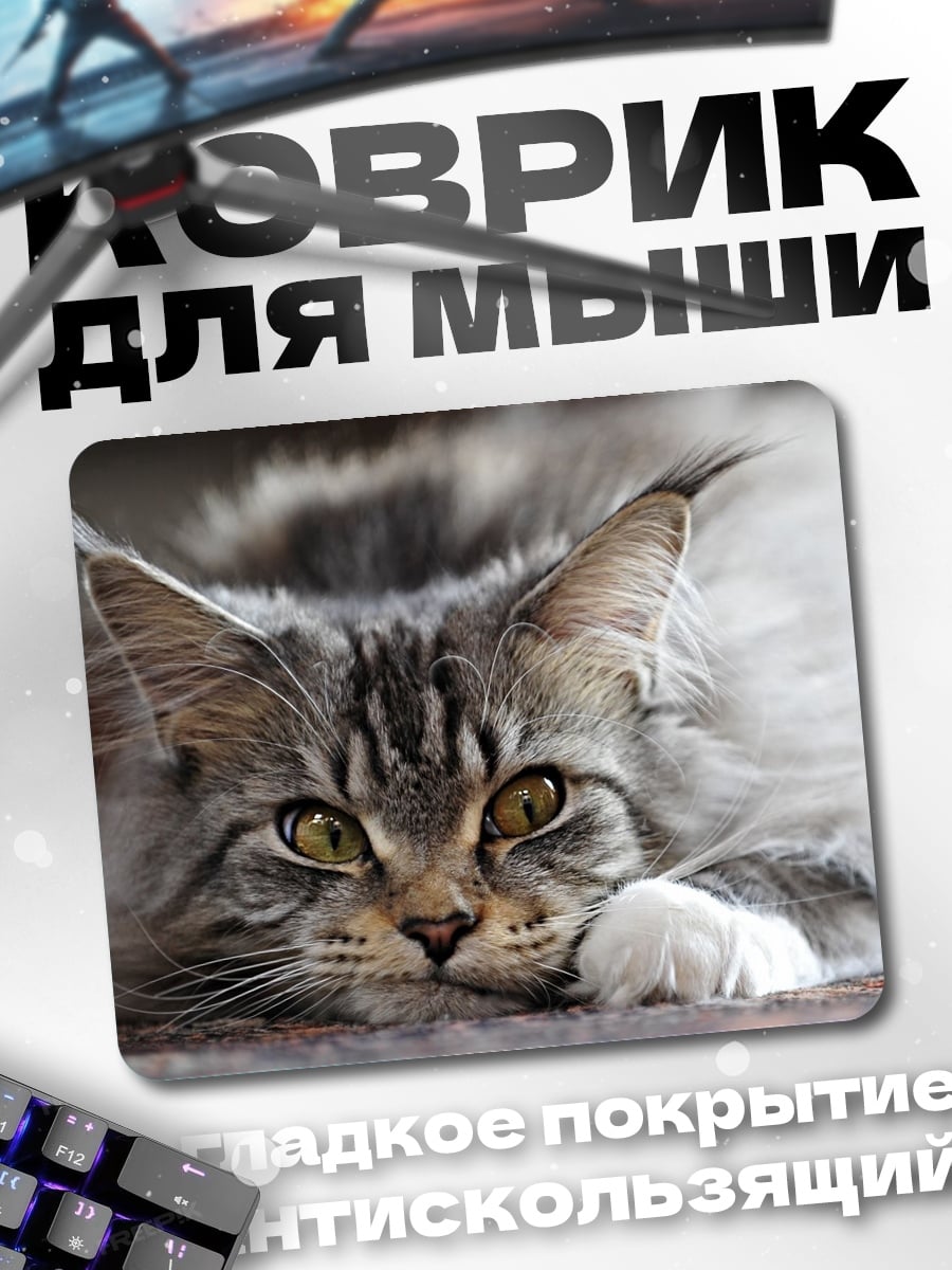 Коврик Пушистый кот Мейн-кун