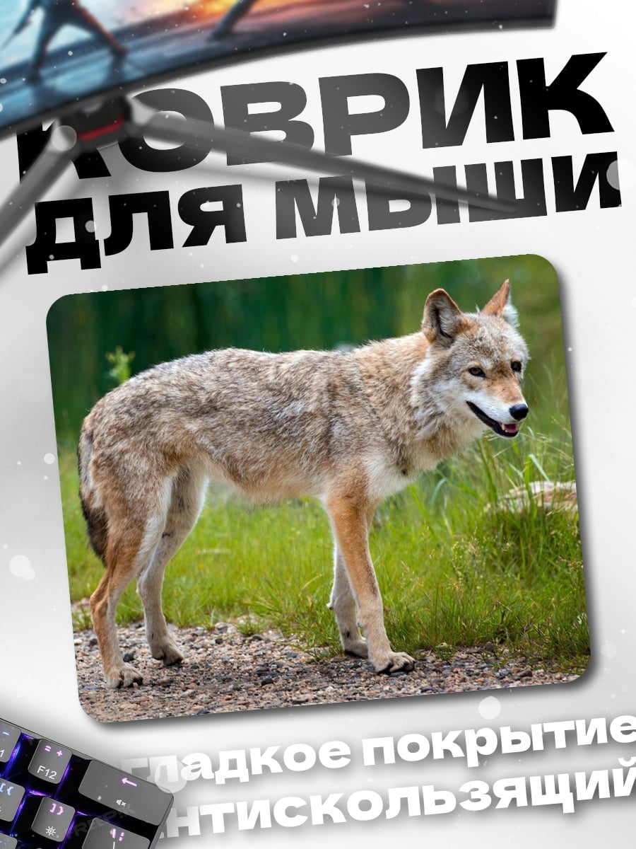Коврик Дикий койот