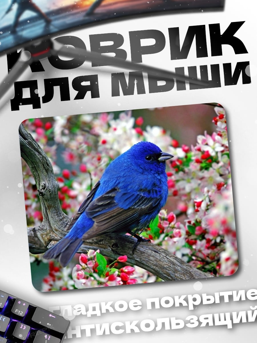 Коврик Синяя птица весной