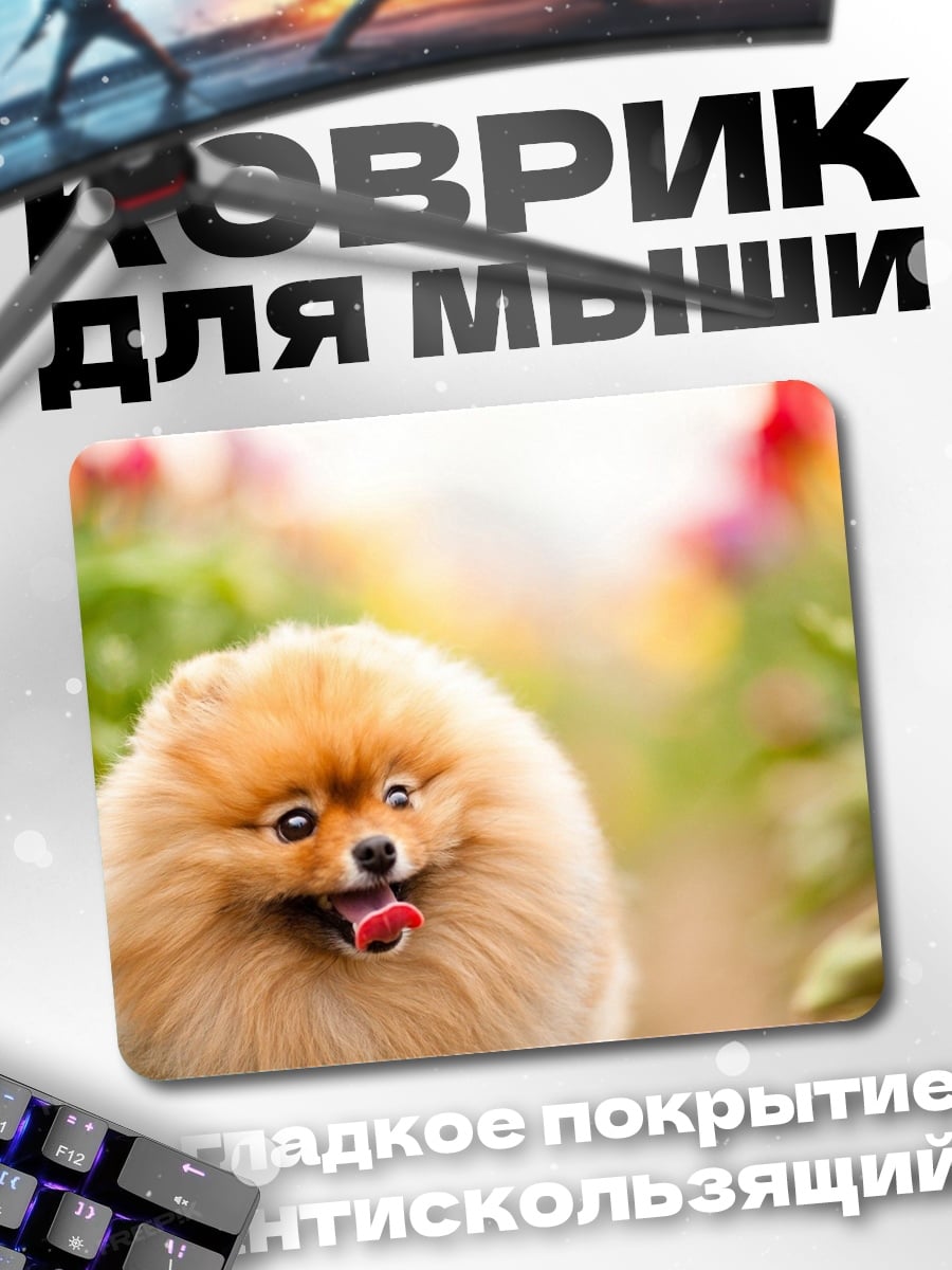 Коврик Шпиц в цветах
