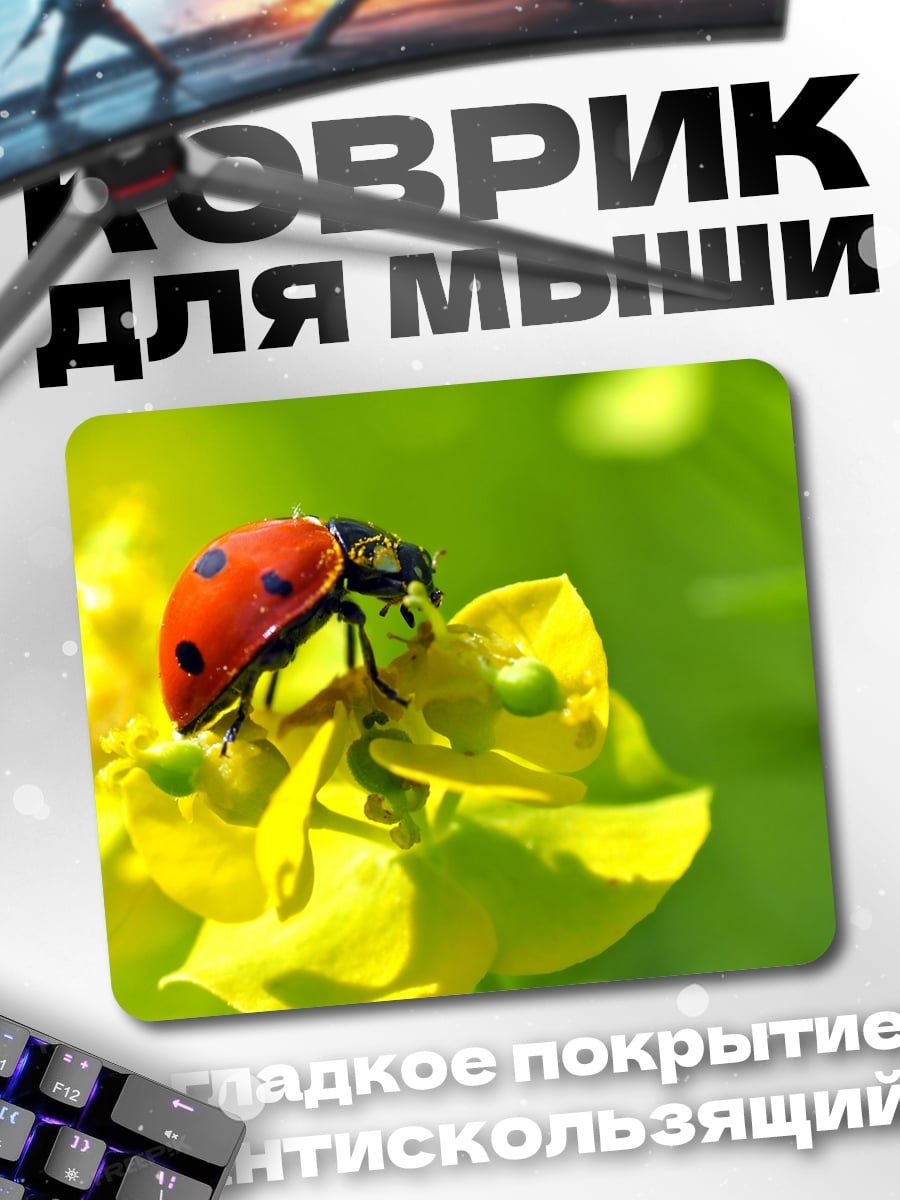 Коврик Божья коровка на цветке