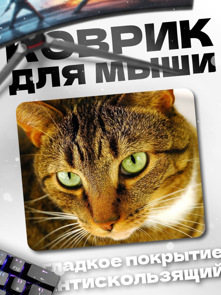 Коврик зеленоглазый кот
