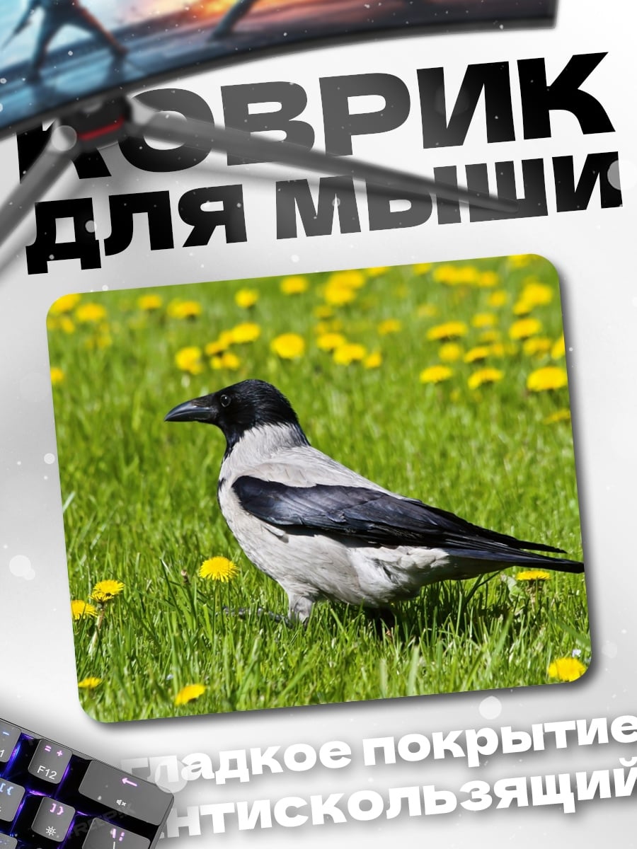 Коврик Ворона на лугу