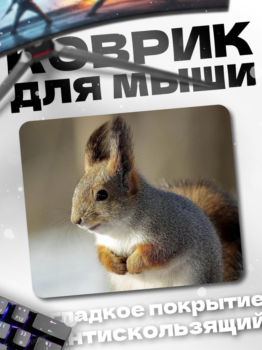 Коврик Белка зимой