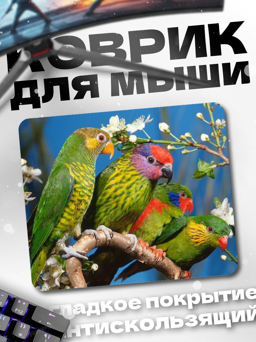 Коврик Радужные попугаи