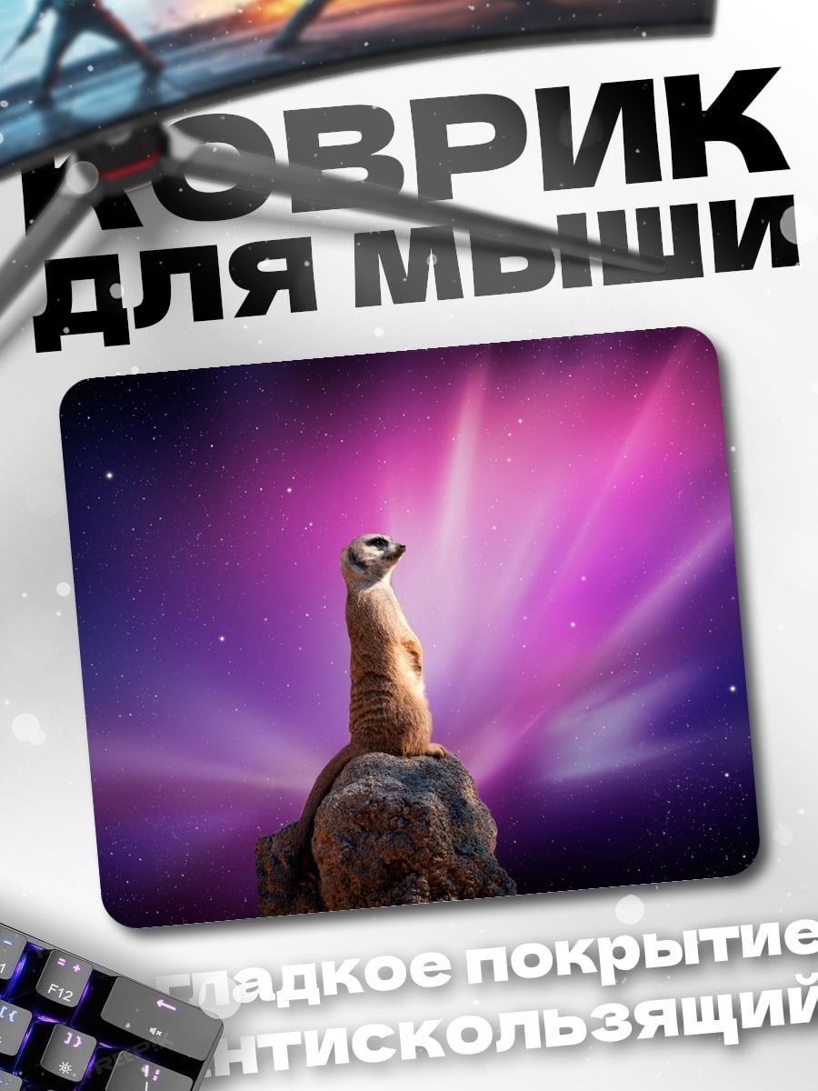 Коврик Сурикат в космосе