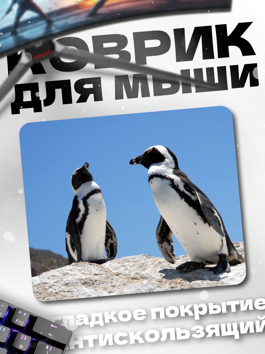 Коврик Два пингвина на камне