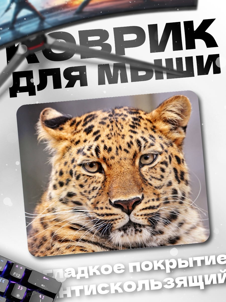 Коврик Портрет леопарда дикий