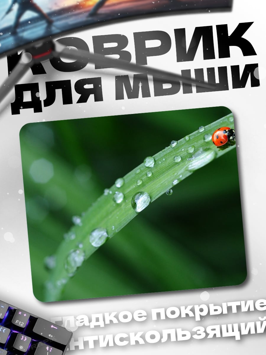 Коврик Божья коровка на траве
