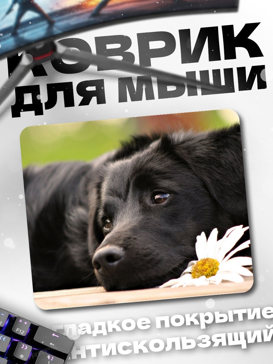 Коврик Грустный щенок
