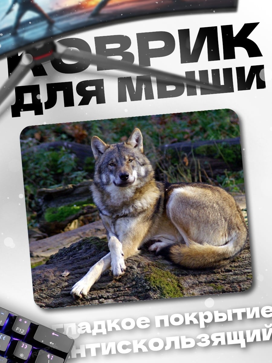 Коврик Волк в лесу
