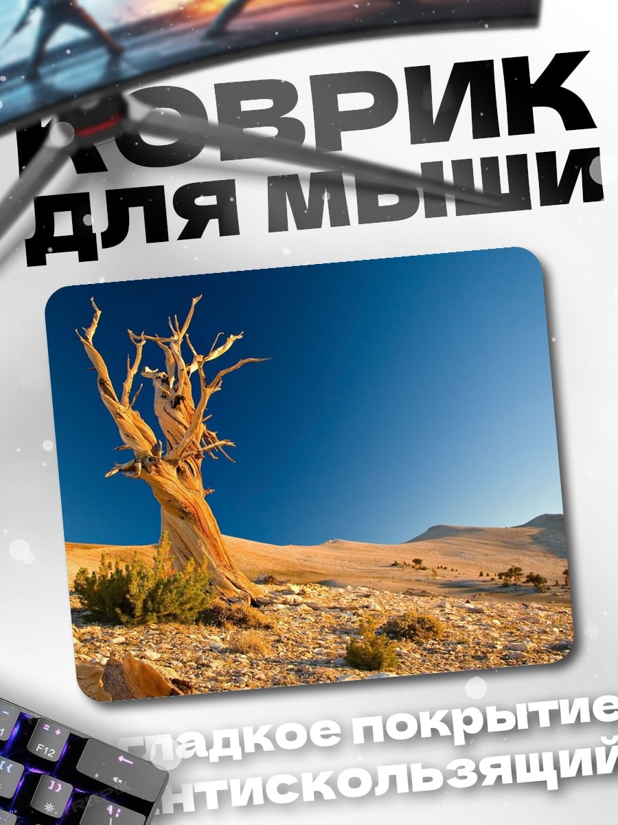 Коврик Одинокое дерево в пустыне