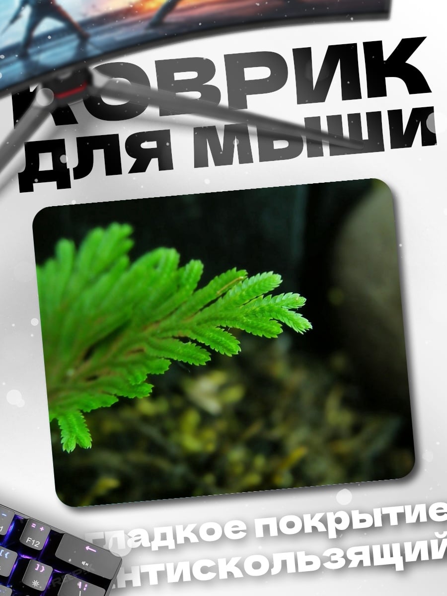 Коврик Зеленый Папоротник