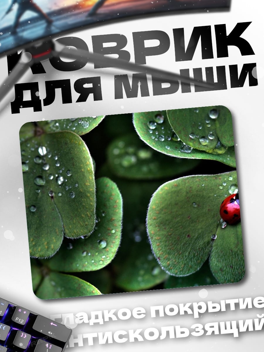 Коврик Божья коровка на клевере