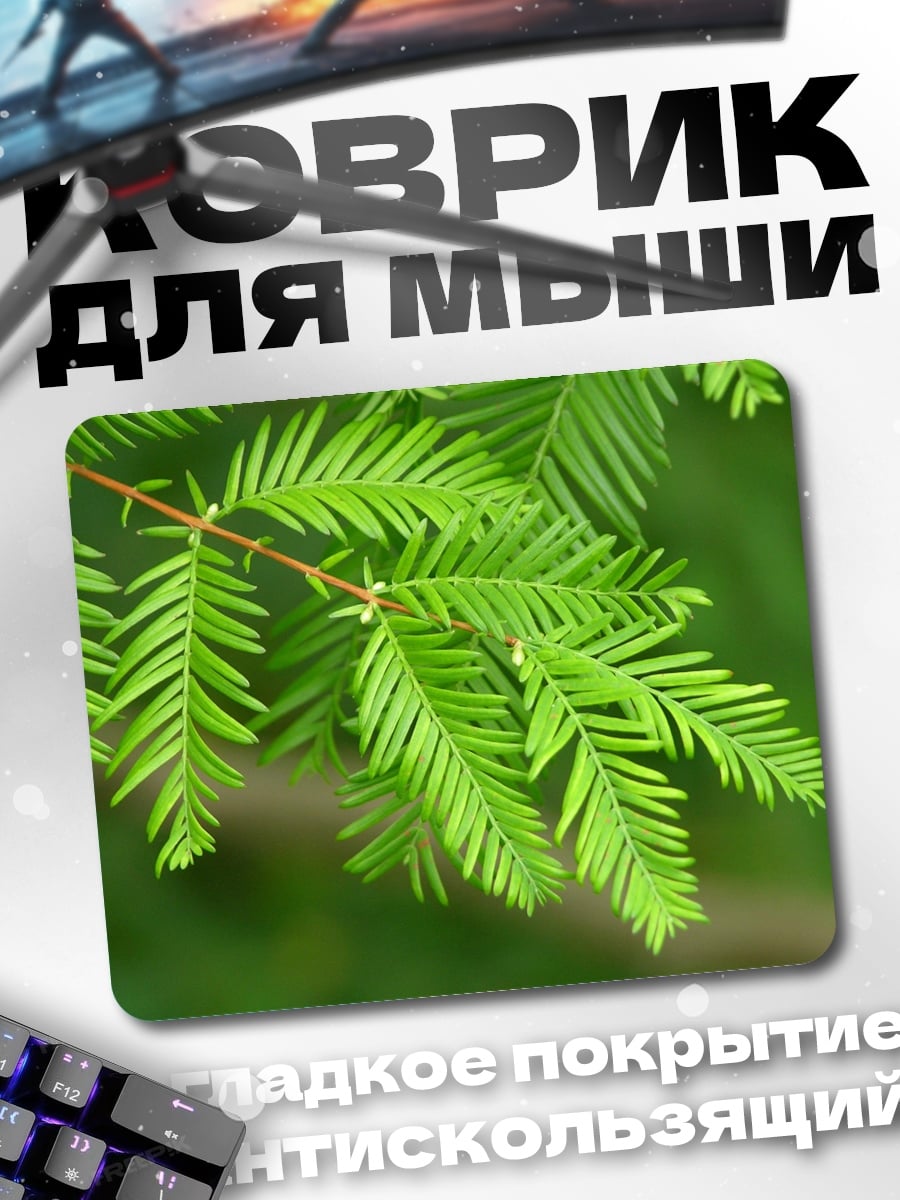 Коврик Зеленая хвоя