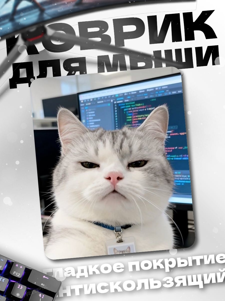 Коврик кот программист