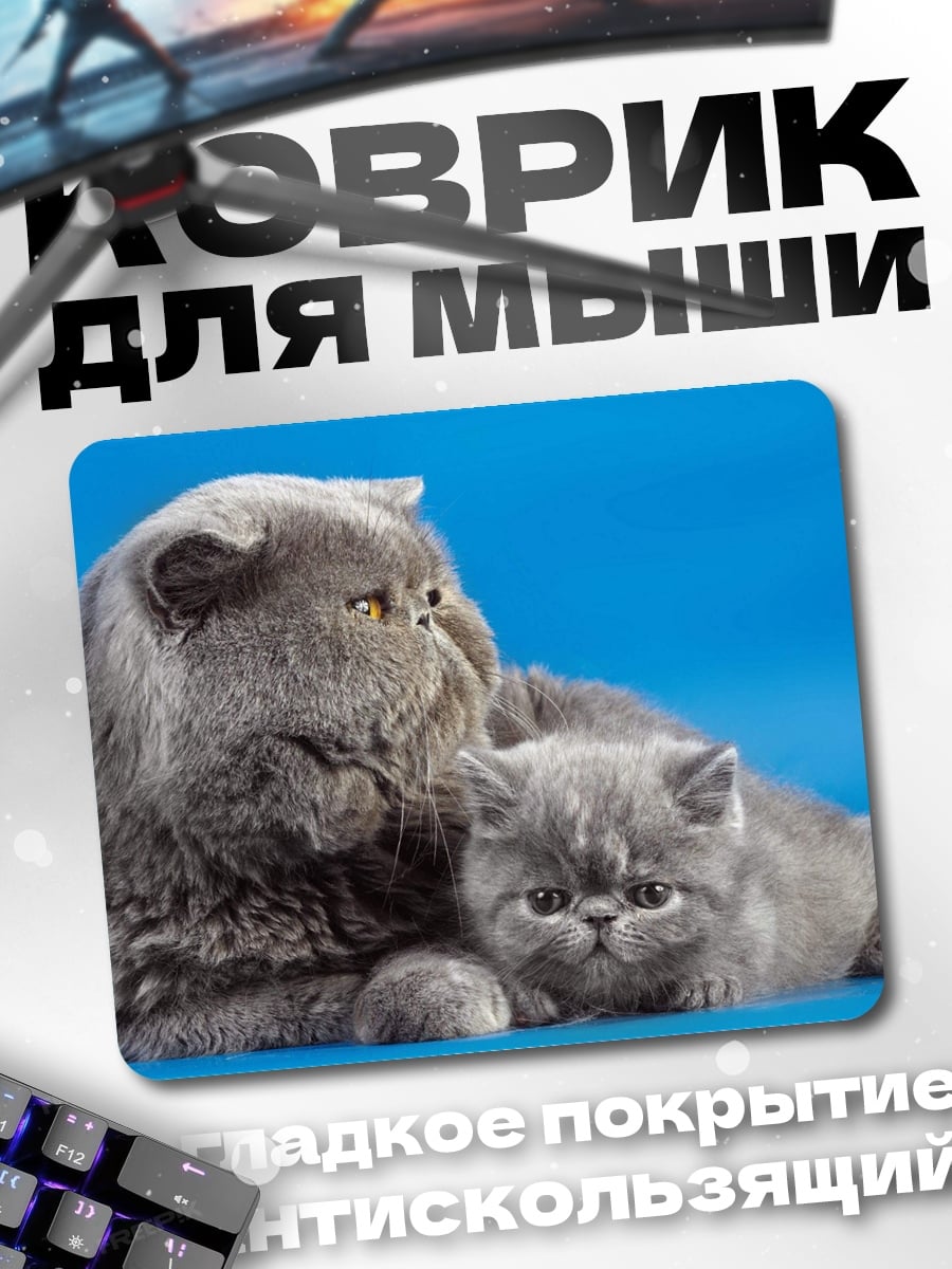 Коврик Две кошки