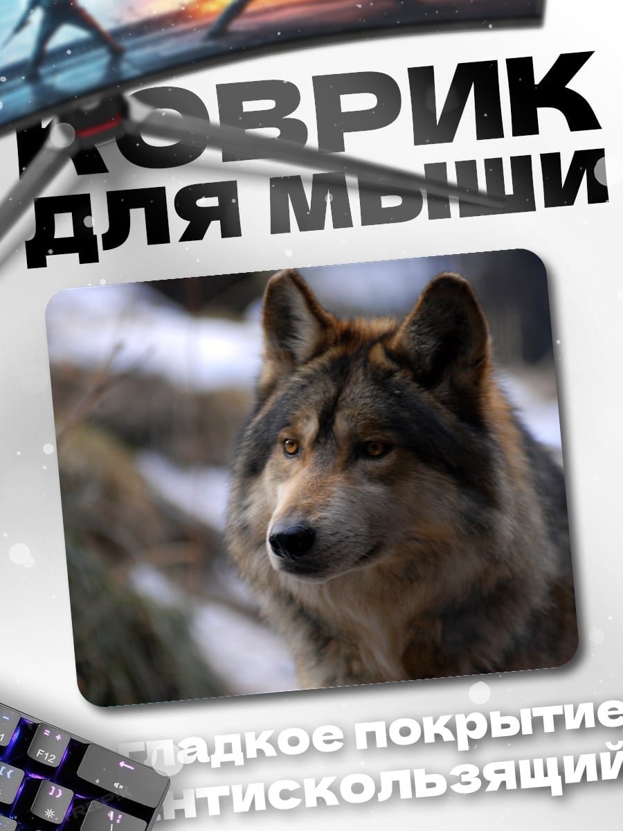 Коврик Волк смотрит вдаль