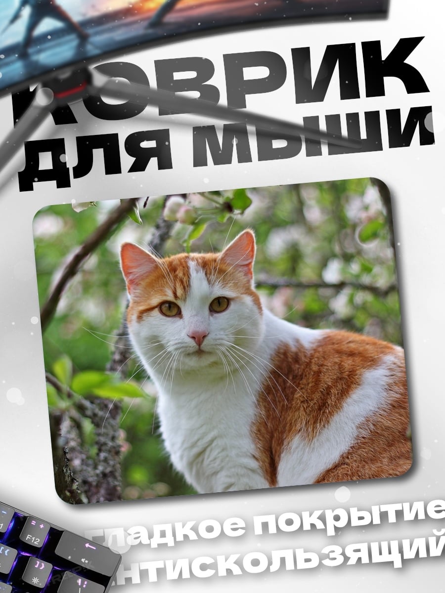 Коврик Рыжий кот в цветах
