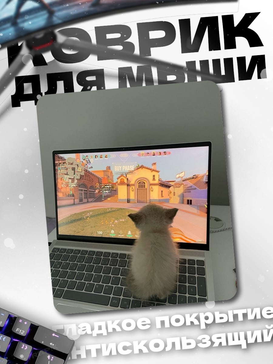Коврик Кот смотрит игру