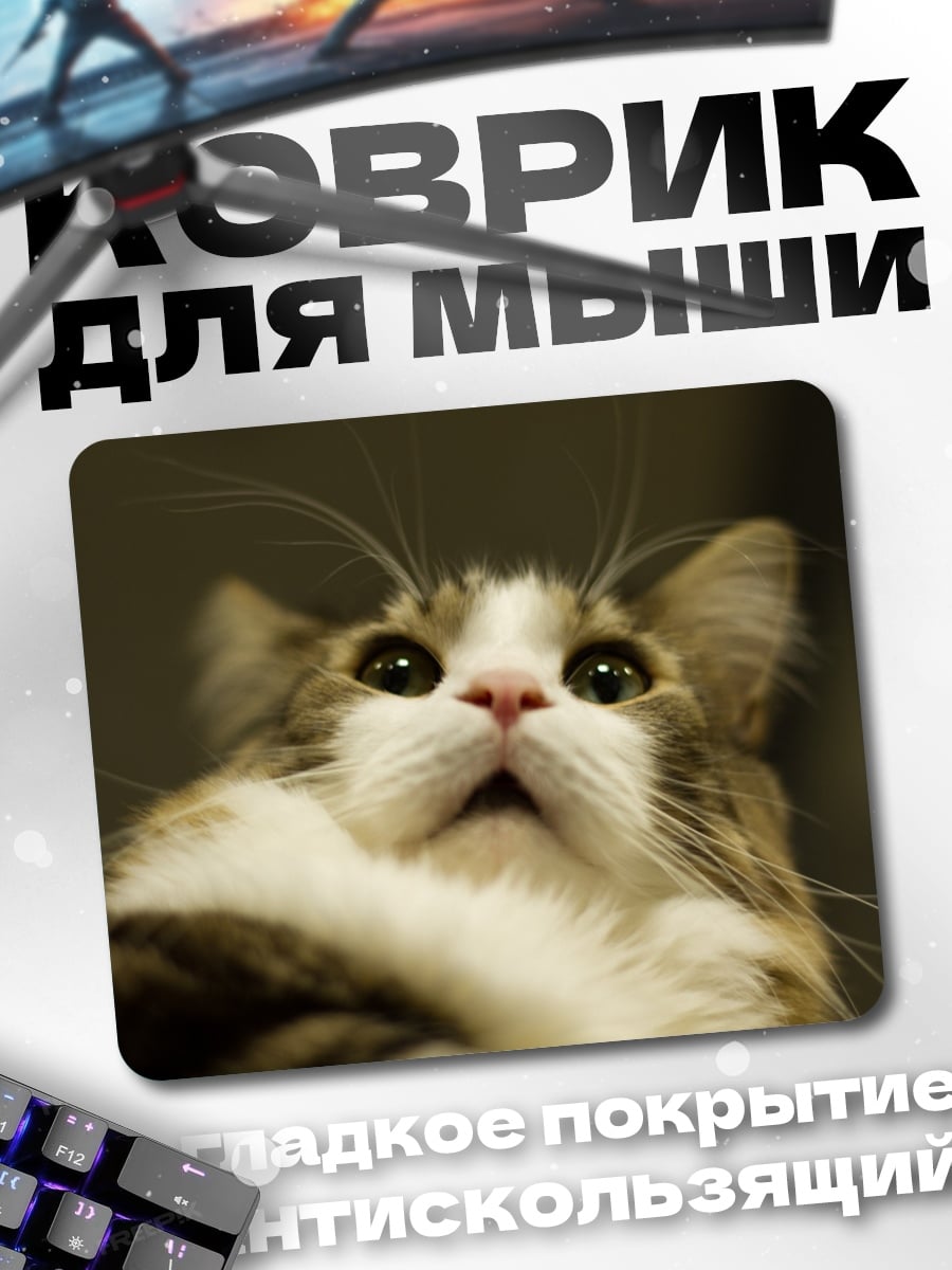 Коврик Кот смотрит вверх