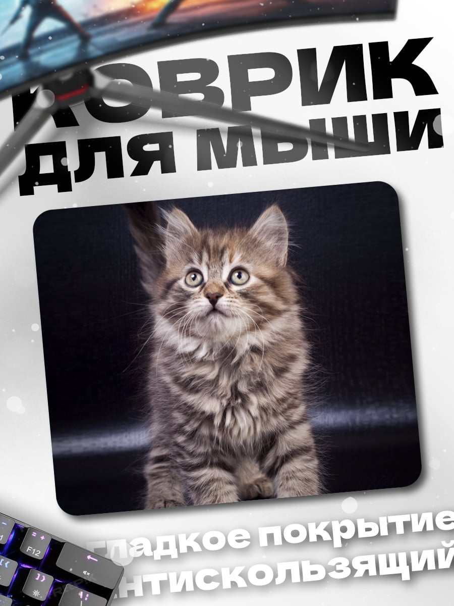 Коврик Пушистый котенок смотрит