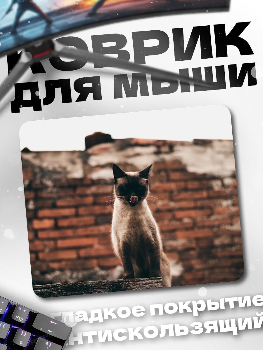 Коврик Кот на стене
