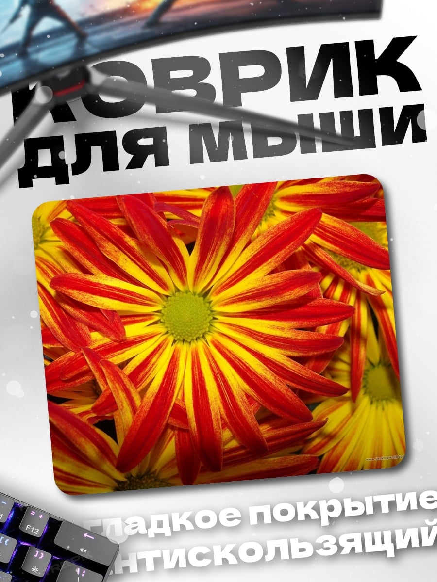 Коврик Красные Хризантемы