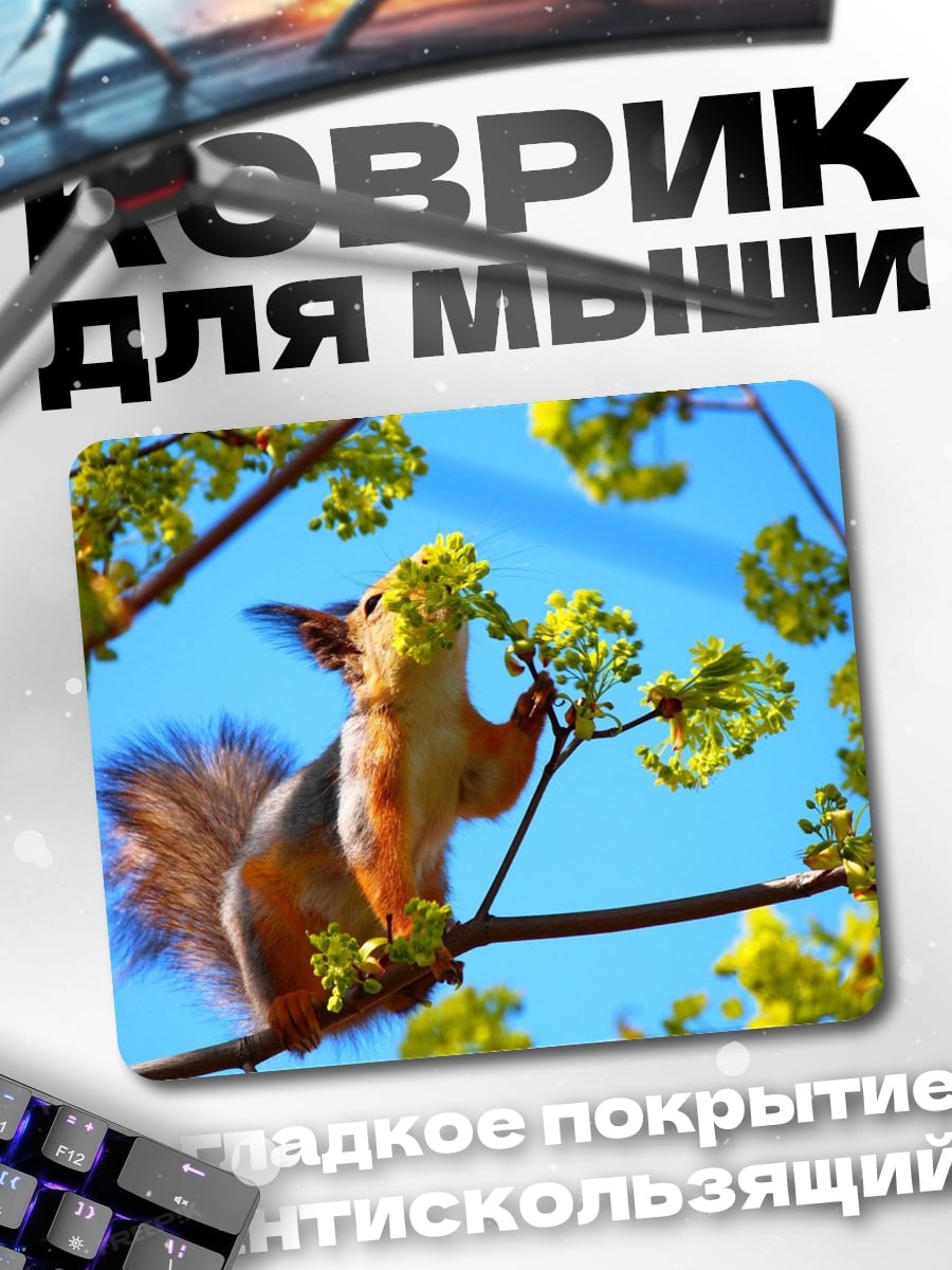 Коврик Белка на ветке
