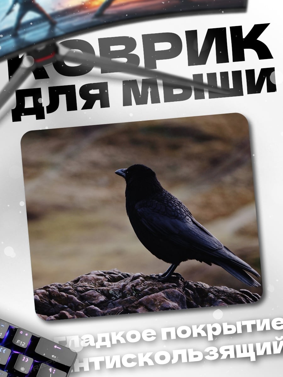 Коврик Черная птица